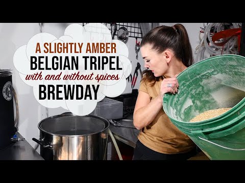 My Slightly Amber Belgian Tripel Ale with Holiday...