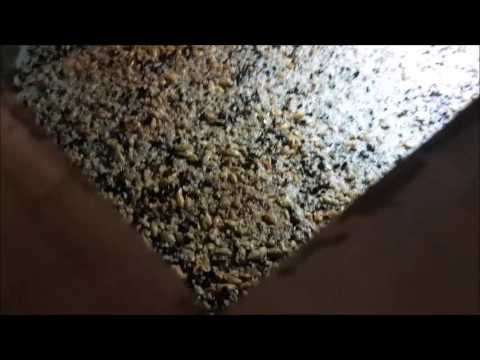 BREWTOWER140 Prototype: Big-Mash-Test-Brew-Day