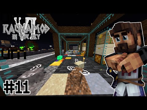 RAGNAMOD VI IN THE SKY #11 - Abeilles !