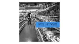 Nate Hertweck - "We Know the Night" (Replacements cover)