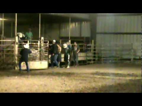 8 second ride at Terry Don Wests