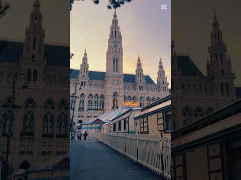 Golden hour ☀️#vienna #austria #travel #travelvlog #shorts