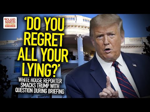 'Do You Regret All Your Lying?' White House Reporter Smacks Trump With Question During Briefing