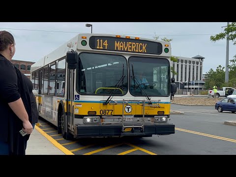 Solid Serenity | Yoshi's Ride Series {S13-E31} - Riding the 114 🚌 - {MBTA} | SPECIAL REQUEST