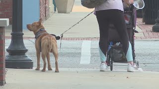Petition in Joplin seeks to stop criminalizing homelessness