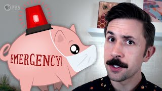 How to Survive an Unemployment Crisis (COVID-19)