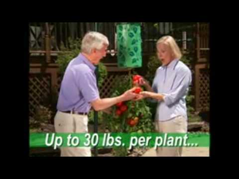 The 700 Club: May 14, 2010 - CBN.com