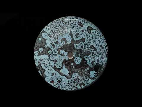 Anml Mthr - Human Primate [ FLASH 230 ]