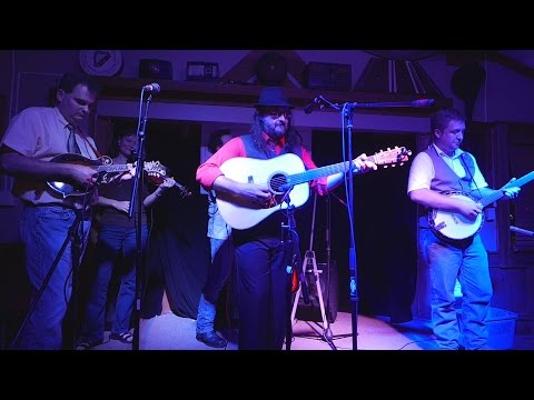 Curtis Jones Primal Roots w Matt Mundy - Sweet Georgia Brown @ Steve's Live Music - Tue Jul/14/2015
