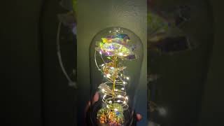 Customer Reviews Childom Rotating Rose in Glass Dome, Valentines Day Gift for Her