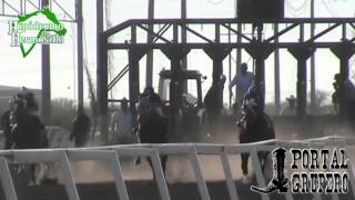 9A CARRERA EN 300YDS EL DANDY VS EL ANZUELO VS EL CAPITAN