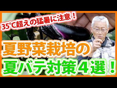 木製パーゴラを作る つる性の植物 熱波対策のヒント 日陰の庭 日陰を作る 菜園 野菜や果物を守る 太陽の熱を守る