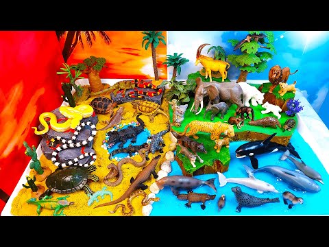Learn the ANIMAL's names and habits -Mammals and reptiles-DIY Huge Animal diorama