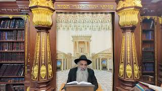 הרב מאיר דוד שמואלי שליט"א - הלכות שבת שולחן ערוך סימן רע"א סעיף י'