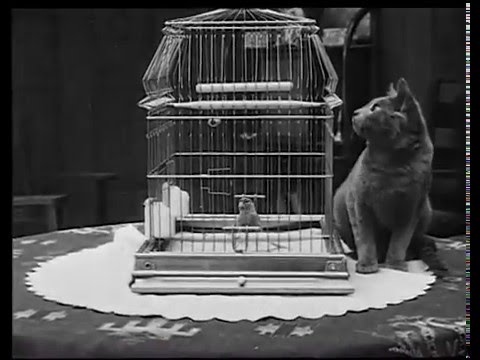 A Little Hero (1913)