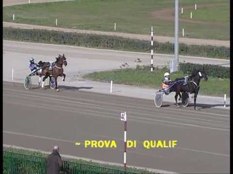 Prova di qualifica del 31.12.2016