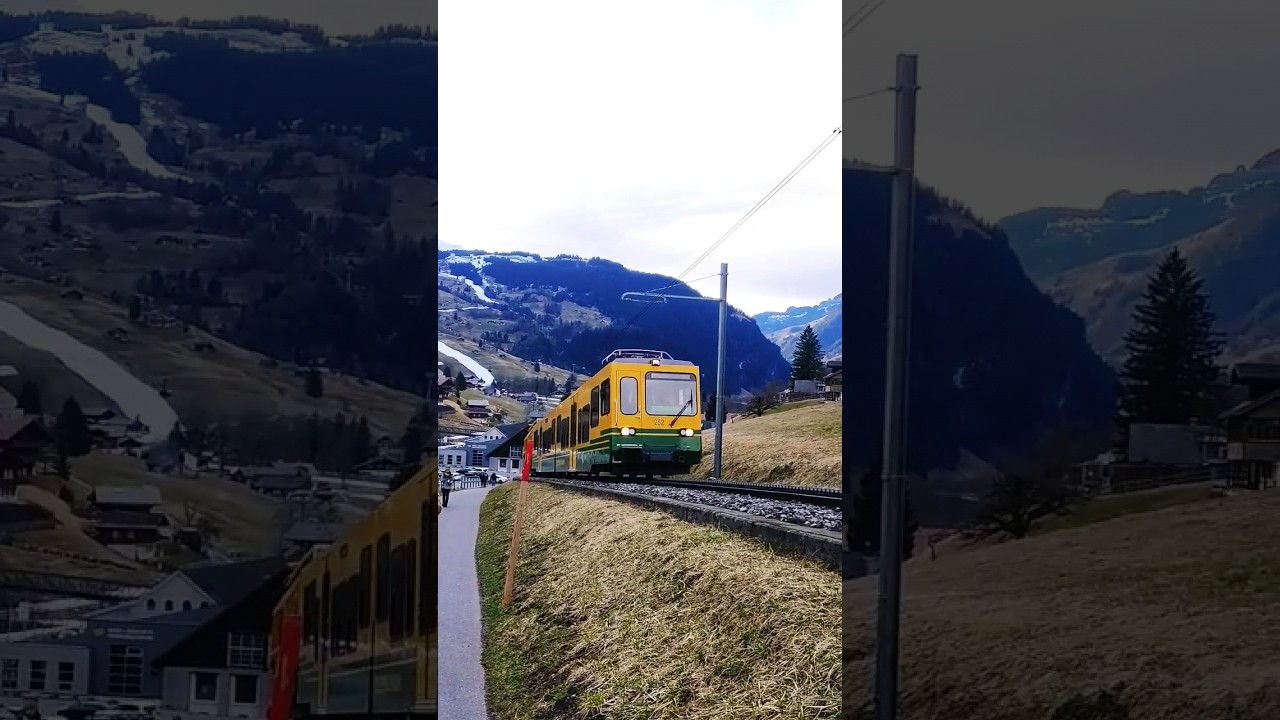 YouTube Short thumbnail