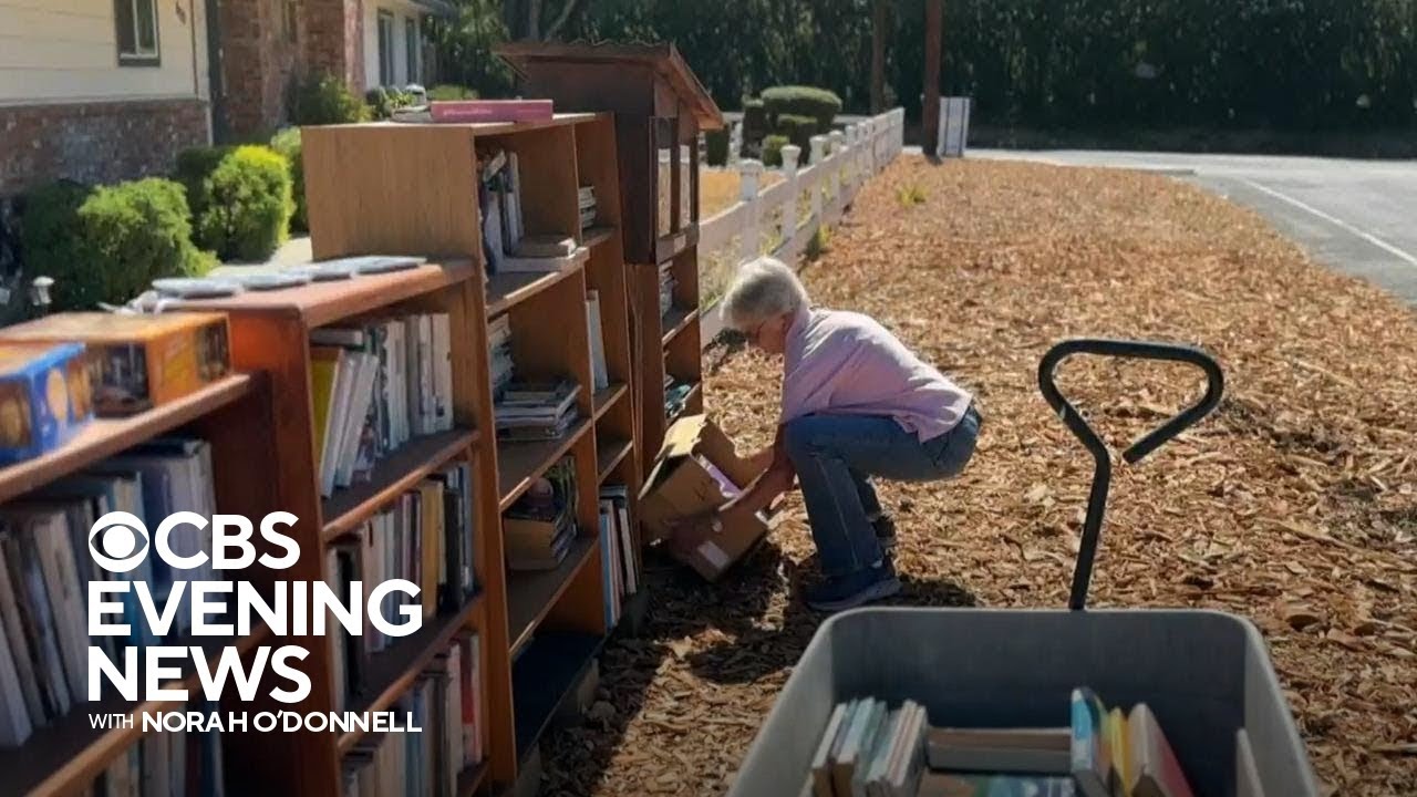 California woman takes little free libraries to another level