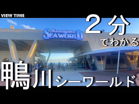 シーワールドについて詳しく解説