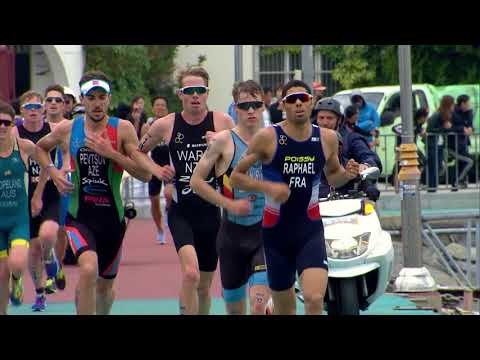 2017 Tongyeong ITU World Cup - Elite Men's Highlights