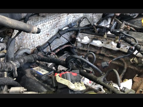 F150 4.6 and 5.4 engine swap guide