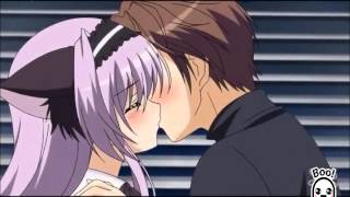 AMV-Porta-Querida Alma Gemela