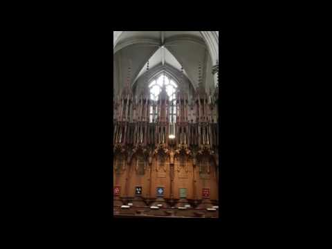 Bobby & Debbie - York Minster - UK 2016
