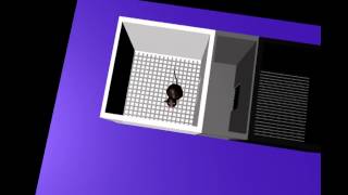 cocaine_conditioned_place_preference.avi