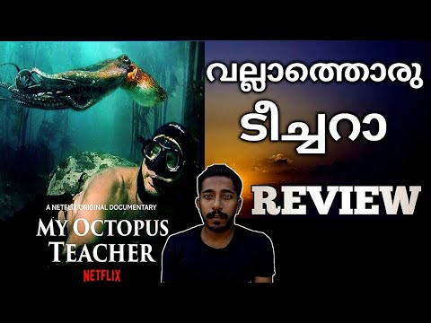 My Octopus Teacher (Documentary) New Filim Review Malayalam!Naseem Media
