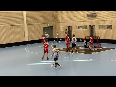 220305 Wings P08- Pixbo P09 4-4