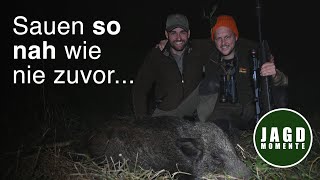 Jagd auf Sauen im wilden Osten | JagdMomente | Faszination Sauen | #4