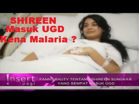 Panas Tinggi!!! SHIREEN Sungkar Masuk UGD Karena MALARIA ~ Gosip Terbaru 31 Oktober 2016