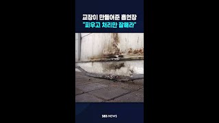 교장이 만들어준 흡연장.."피우고 처리만 잘해라" #shorts