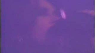 Curve | Coast Is Clear - live