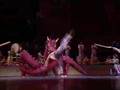 Chinese New Year Splendor