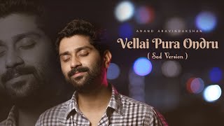 Download lagu VELLAI PURA ONDRU (SAD VERSION){COVER}/ANAND ARAVINDAKSHAN/ILLAYARAJA/K.J.YESUDAS/ VAIRAMUTHU mp3 Download lagu VELLAI PURA ONDRU (SAD VERSION){COVER}/ANAND ARAVINDAKSHAN/ILLAYARAJA/K.J.YESUDAS/ VAIRAMUTHU mp3