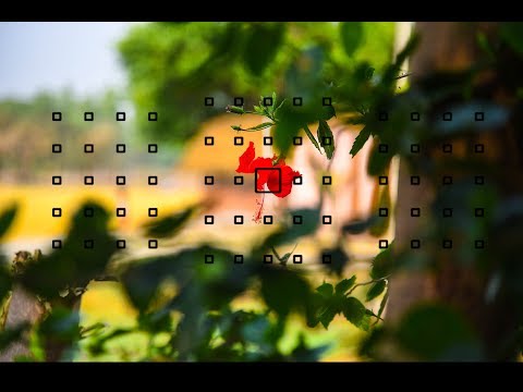 How Autofocus Works ?