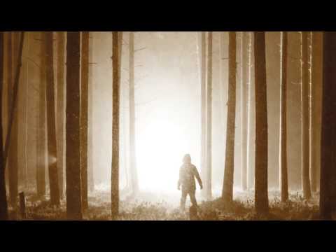 NOOX - Scars (ft Petter Hedström)