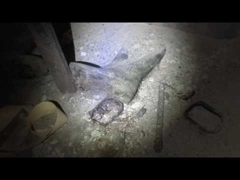 full time chrono opustene Kasárne BA - URBEKSER No.2/paranormálny/