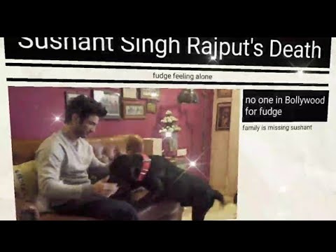 Sushant Singh Rajput’s pet dog is alive| ignore rumours| Watch heartbreaking | Jagflix Videos