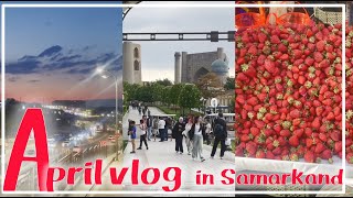 【ウズベキスタンvlog】サマルカンドで暮らす社会人の4月｜事あるごとに封鎖されがちな道路｜1kgのイチゴでジェラート作り