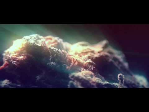 Låpo Raggiro  -  Prometåzina (Prod. By Låpo Raggiro) OFFICIAL VIDEO