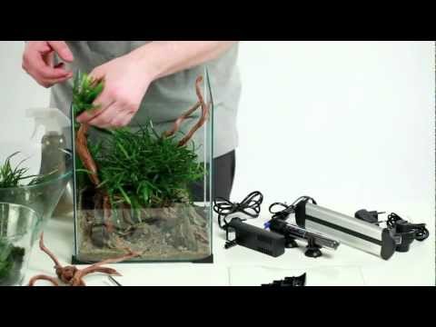 How to set up beautiful nano aquarium | DIVERSA |