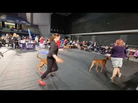 TLN W 22, BM VALIK 10.04.2022