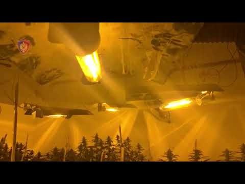 Dosja.al- Zbulohet shtëpia e barit, DETAJET nga aksioni, 3 të arrestuar