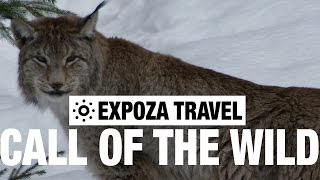 Call Of The Wild Vacation Travel Video Guide