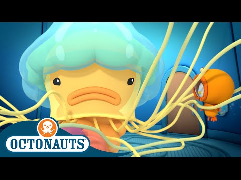 Octonauts - The Lion's Mane Jellyfish | Cartoons for Kids | Underwater Sea Education