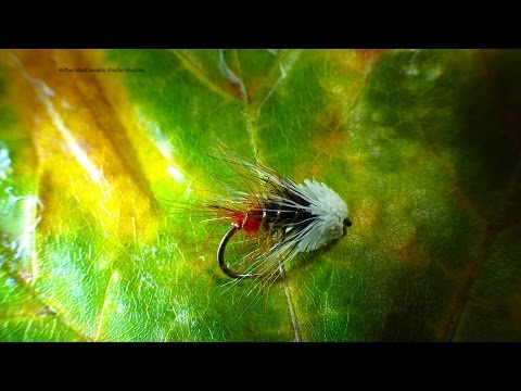 Tying Arthur MacDonalds Westie Muddler with Davie McPhail