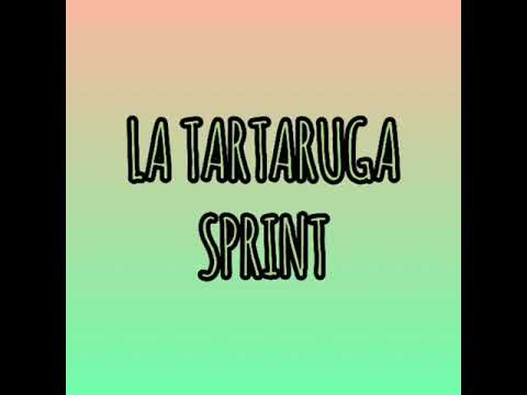 La tartaruga sprint
