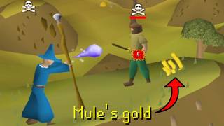 At 12:01 AM Every Night I’m in a War with this Bot Farm